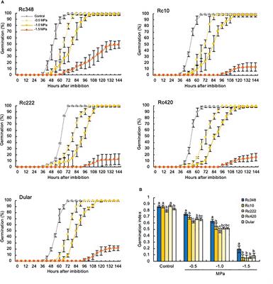 Regulation of reactive oxygen species and phytohormones in osmotic stress tolerance during seed germination in indica rice